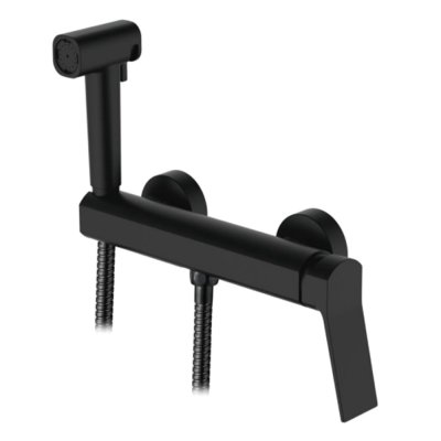 Смеситель с гигиеническим душем Ledeme L5285B