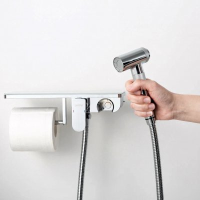 Смеситель с гигиеническим душем Gappo G7295-10