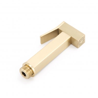 Гигиеническая лейка Frap F21-43