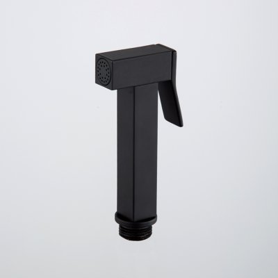 Гигиеническая лейка Frap F21-46