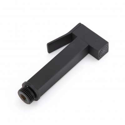 Гигиеническая лейка Frap F21-46