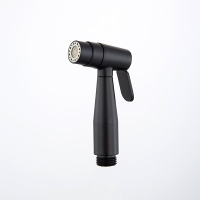 Гигиеническая лейка Frap F25-6