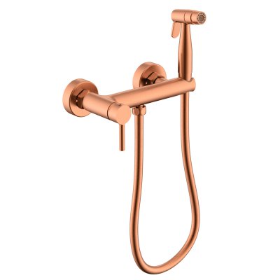 Смеситель с гигиеническим душем Raglo R20.51.33