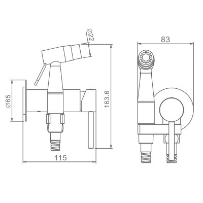 Смеситель с гигиеническим душем Raglo R20.54
