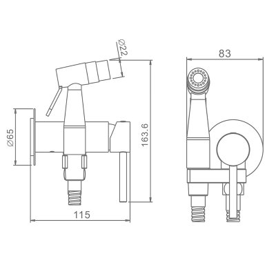 Смеситель с гигиеническим душем Raglo R20.54.03