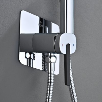 Смеситель с гигиеническим душем Rose R245