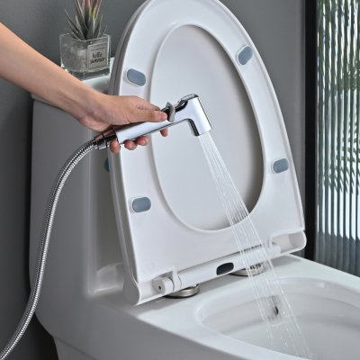 Смеситель с гигиеническим душем Rose R245