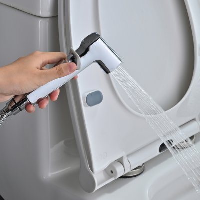 Смеситель с гигиеническим душем Rose R245