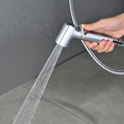 Смеситель с гигиеническим душем Rose R245