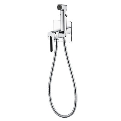 Смеситель с гигиеническим душем Rose R245