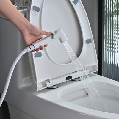 Смеситель с гигиеническим душем Rose R245C