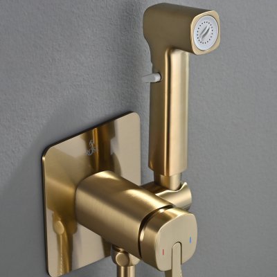 Смеситель с гигиеническим душем Rose R245G