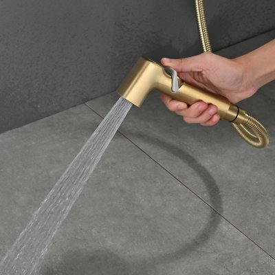 Смеситель с гигиеническим душем Rose R245G