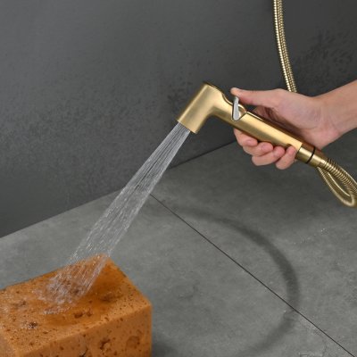 Смеситель с гигиеническим душем Rose R245G