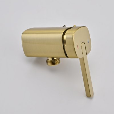 Смеситель с гигиеническим душем Rose R245G