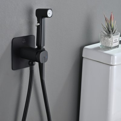 Смеситель с гигиеническим душем Rose R245H