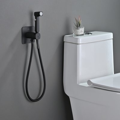 Смеситель с гигиеническим душем Rose R245H