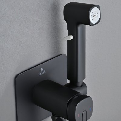 Смеситель с гигиеническим душем Rose R245H
