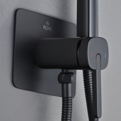 Смеситель с гигиеническим душем Rose R245H