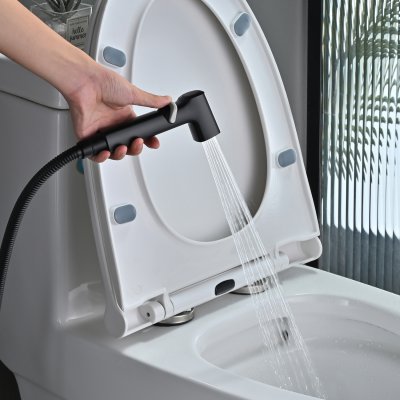 Смеситель с гигиеническим душем Rose R245H