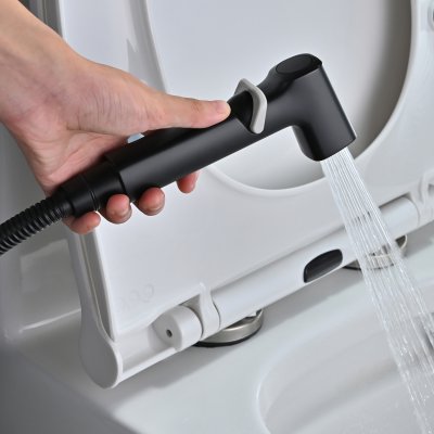 Смеситель с гигиеническим душем Rose R245H