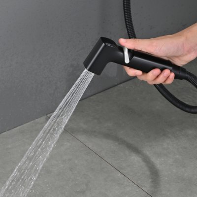 Смеситель с гигиеническим душем Rose R245H