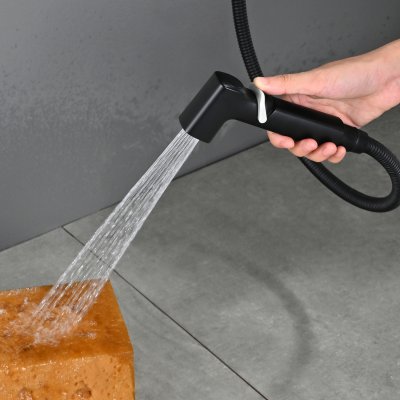 Смеситель с гигиеническим душем Rose R245H