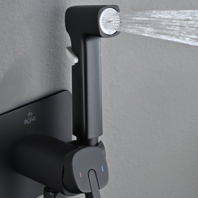 Смеситель с гигиеническим душем Rose R245H