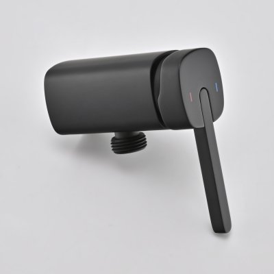 Смеситель с гигиеническим душем Rose R245H