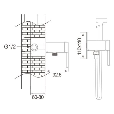 Смеситель с гигиеническим душем Rose R245H