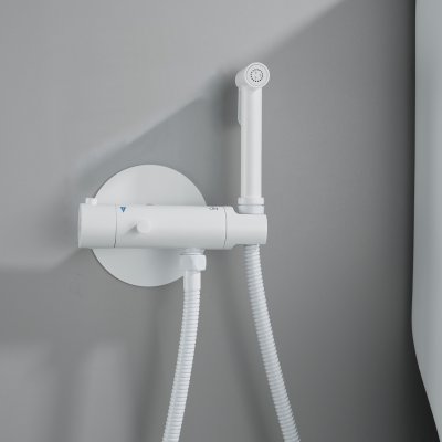 Смеситель с гигиеническим душем Rose R915C