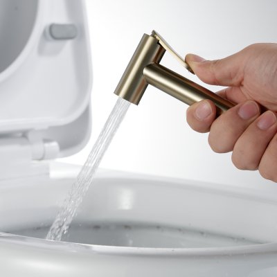 Смеситель с гигиеническим душем Rose R915G