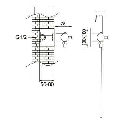 Смеситель с гигиеническим душем Rose R915G