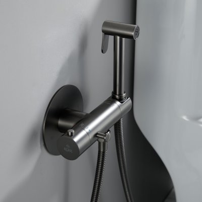 Смеситель с гигиеническим душем Rose R915T
