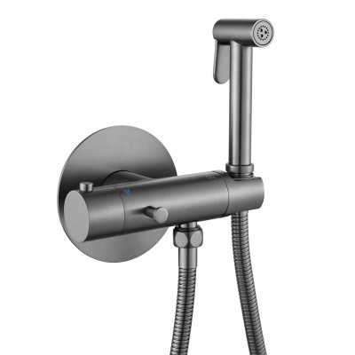 Смеситель с гигиеническим душем Rose R915T