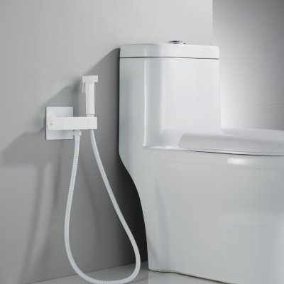 Смеситель с гигиеническим душем Rose R965C