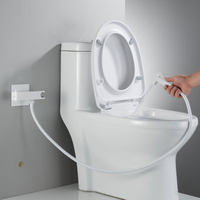 Смеситель с гигиеническим душем Rose R965C