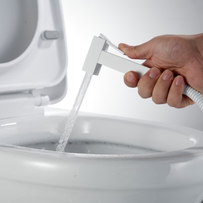 Смеситель с гигиеническим душем Rose R965C