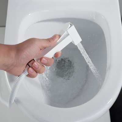 Смеситель с гигиеническим душем Rose R965C