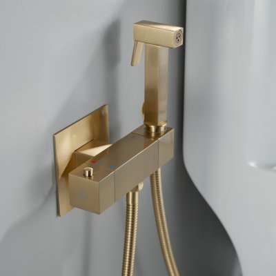 Смеситель с гигиеническим душем Rose R965G