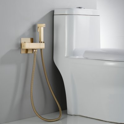 Смеситель с гигиеническим душем Rose R965G