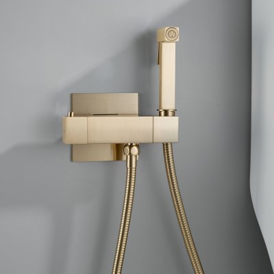 Смеситель с гигиеническим душем Rose R965G