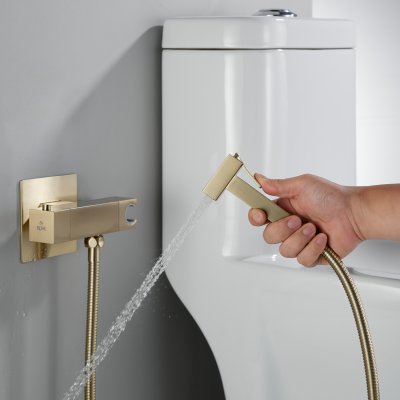 Смеситель с гигиеническим душем Rose R965G