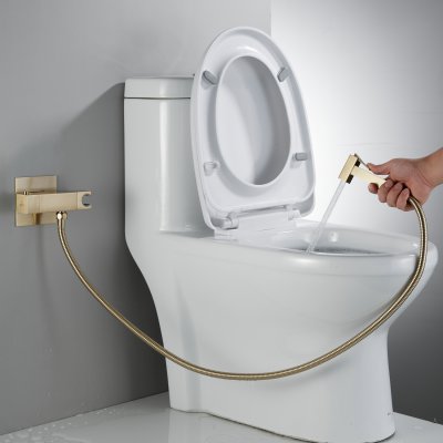 Смеситель с гигиеническим душем Rose R965G