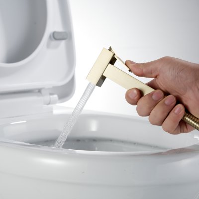 Смеситель с гигиеническим душем Rose R965G