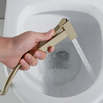 Смеситель с гигиеническим душем Rose R965G