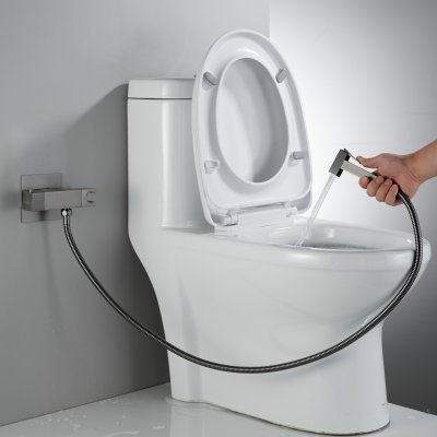 Смеситель с гигиеническим душем Rose R965T