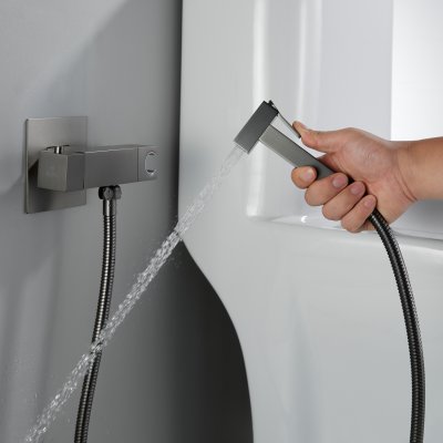 Смеситель с гигиеническим душем Rose R965T