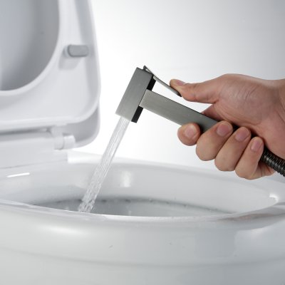 Смеситель с гигиеническим душем Rose R965T