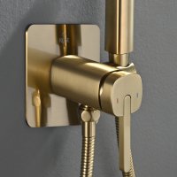 Смеситель с гигиеническим душем Rose R245G